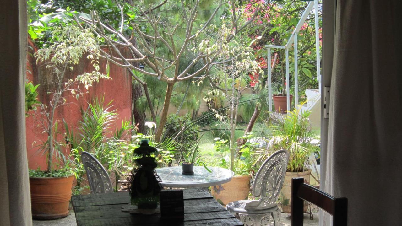 Hotel Villa Oaxaca Ngoại thất bức ảnh