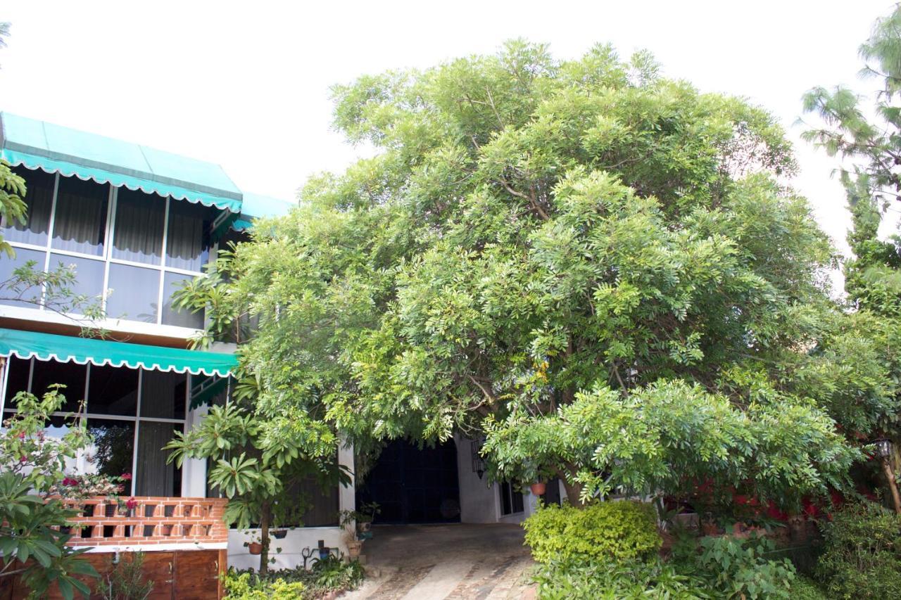 Hotel Villa Oaxaca Ngoại thất bức ảnh